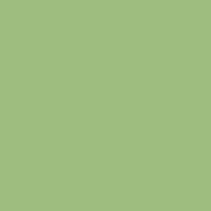 Continental Wasabi Green Gloss 197x197
