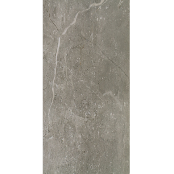 Coral Taupe Polished 300x600